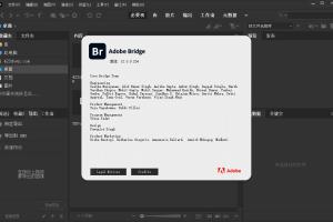 Adobe Bridge 2023 br破解版win/mac-图像查看器可以管理相册,编辑图片元数据