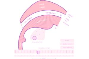 人声模拟器-Pink Trombone 网站能模拟出一些简单的人声