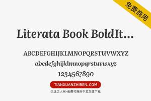【Literata Book BoldItalic】免费可商用字体下载