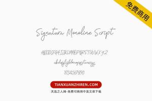 【Signatura Monoline Script】免费可商用字体下载