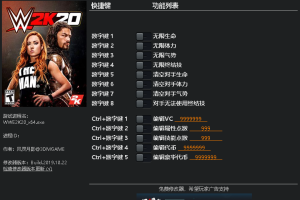 《WWE 2K20》v1.0 十三项修改器免费无毒下载使用风灵月影版