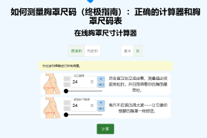 在线精准测量胸罩杯尺码表-Bra Metric 自测胸部