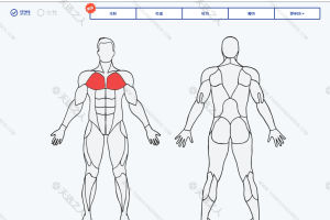 肌肉维基百科-以动态图片+文字的方式叫你锻炼身体的每一块肌肉