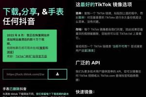 Tiktok镜像站-可观看搜索与下载tiktok视频-国内免翻可看