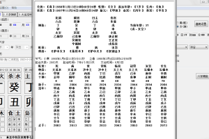 八字简批算命软件生日时辰/八字神煞/大运流年/河图洛书/图解八字/紫薇排盘免费下载