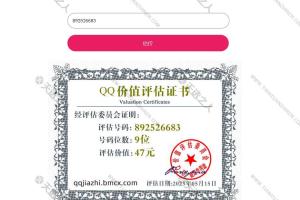 二次元QQ价值在线评估网站源码上传后解压即可可以直接使用