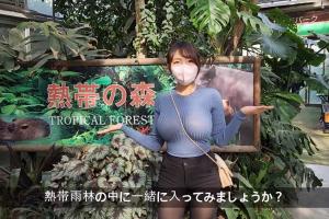 今天喂喂小动物 First met with Capybara 日本美女动物园一日游