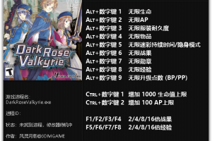 《黑蔷薇女武神》v1.0十三项修改器 免费无毒下载使用风灵月影版