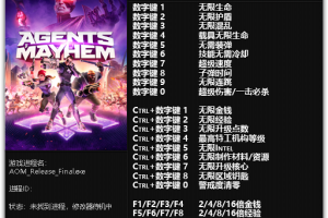 《混乱特工》 v1.0-v1.05二十一项修改器 免费无毒下载使用风灵月影版