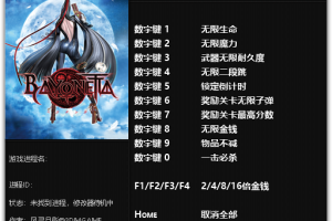 《猎天使魔女》v1.0-v1.01十一项修改器 免费无毒下载使用风灵月影版