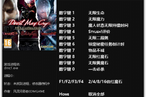 《鬼泣1:HD》v1.0十一项修改器 免费无毒下载使用风灵月影版