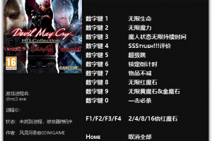 《鬼泣3:HD》v1.0十一项修改器 免费无毒下载使用风灵月影版