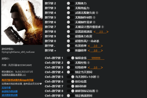 《消逝的光芒2》v1.0.3-v1.11.3二十一项修改器 免费无毒下载使用风灵月影版
