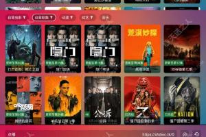 影视TV 手机版和电视版两个版本 基于猫影视开源的CatVodTVJarLoader项目