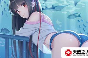 switch主题【blue6】Switch、壁纸、主题、大气层、sxos、破解版、