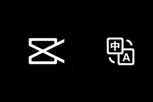 剪印中英文字幕 一键翻译导入!!!