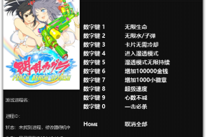 《闪乱神乐:沙滩戏水》v1.0-v1.02 十项修改器 免费无毒下载使用风灵月影版