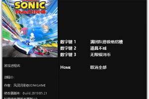 《团队索尼克赛车》 v1.0 三项修改器免费无毒下载使用风灵月影版