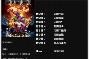 《热血物语:地下世界》v1.0-v20171117 八项修改器 免费无毒下载使用风灵月影版