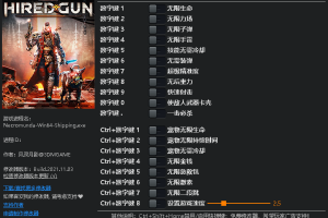 《涅克罗蒙达:赏金猎人》v0.58333-v1.61194十九顶修改器免费无毒下载使用风灵月影版