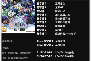 《最终幻想:世界》v1.0-Maxima 十三项修改器免费无毒下载使用风灵月影版