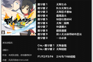 《闪乱神乐:少女们的选择》v1.0 十三项修改器 免费无毒下载使用风灵月影版
