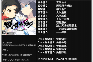 《闪乱神乐:少女们的证明》v1.0-v1.04 十六项修改器 免费无毒下载使用风灵月影版