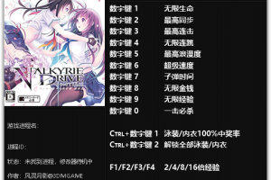 《女武神驱动:比丘尼》v1.0 十三项修改器免费无毒下载使用风灵月影版