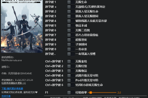 《尼尔:机械纪元》v1.0-v20210318十九修改器免费无毒下载使用风灵月影版