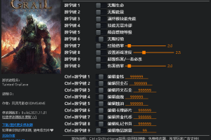 《污痕圣杯/堕落圣杯》v1.0-v1.2 十九项修改器免费无毒下载使用风灵月影版